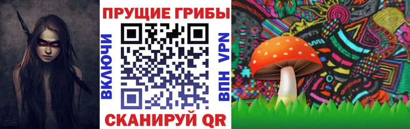 Псилоцибиновые грибы GOLDEN TEACHER Плёс